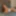 Scarlet Whisper Free Photos #2