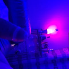 Blue room