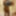 Black honey gets recorded as she showers #52