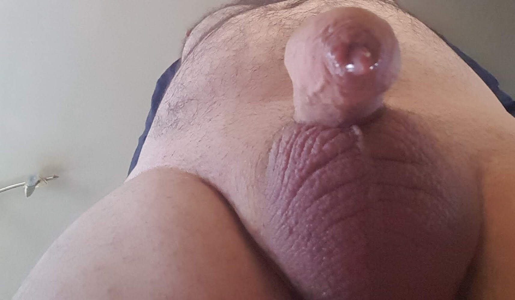 shaved #10
