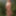 Photo shooting with cum slut Dany Sun in the garden #60