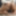 Big booty latina GF Ellax Blair nude session
