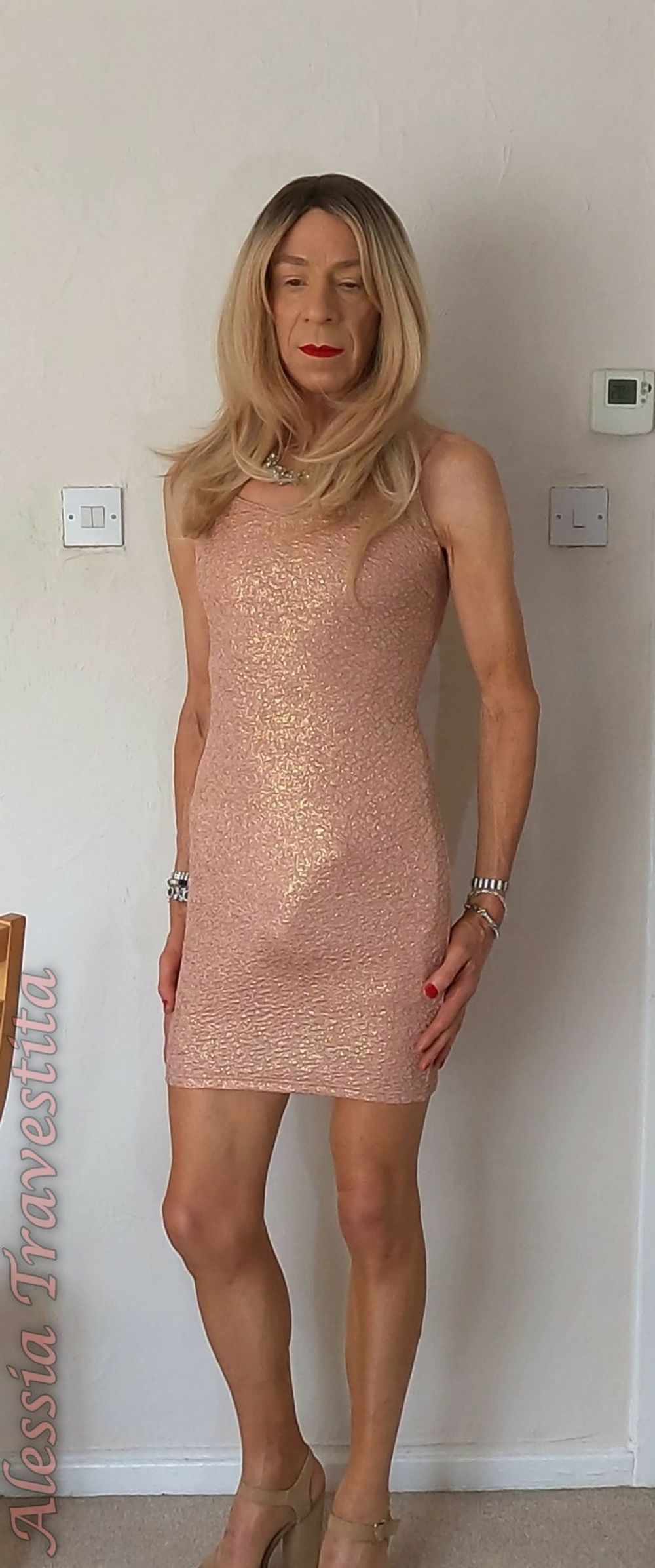 83 Alessia Travestita in Fawn Glitter Dress #8