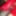 LADY?IN RED PT2 #23