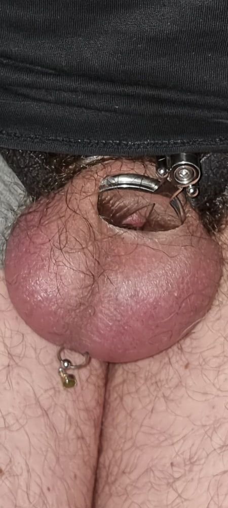 My new chastity cage after 2 days #26