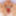 Mature milfs and gilfs from OlderWomanFun