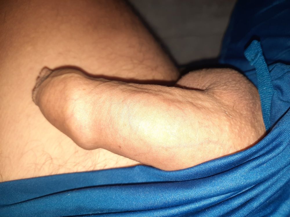 Cock #6