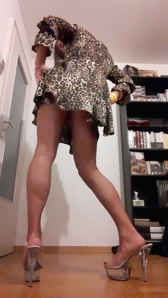 Sissy Tygra in leopard dress on 2019 octobre. #8