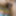 Dance masturbation video  #4