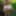 Pussy Torment and slapping in the woods #7