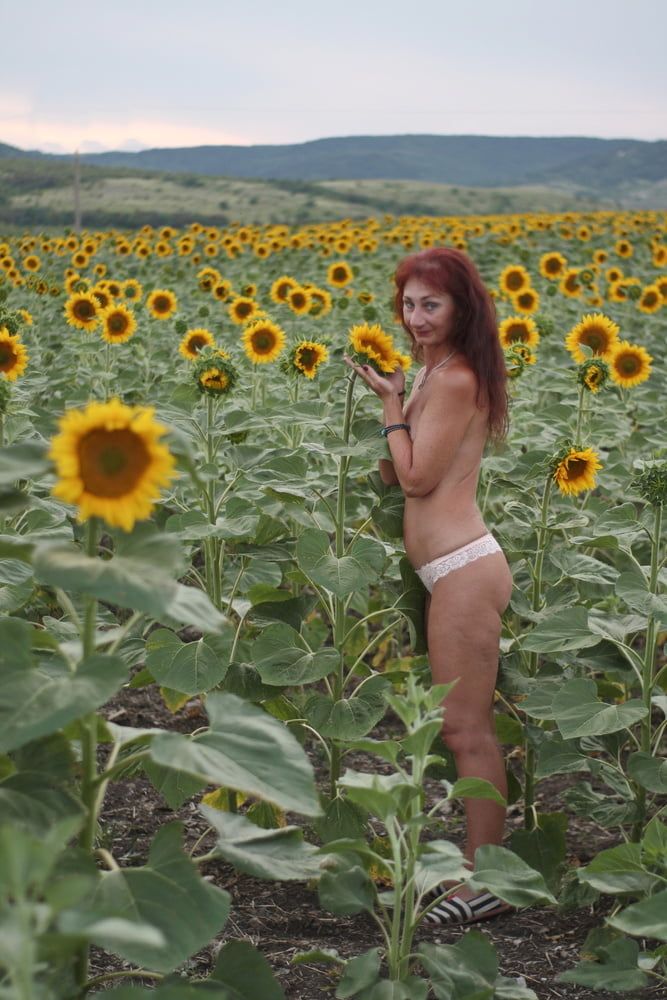 Sunflowers #17