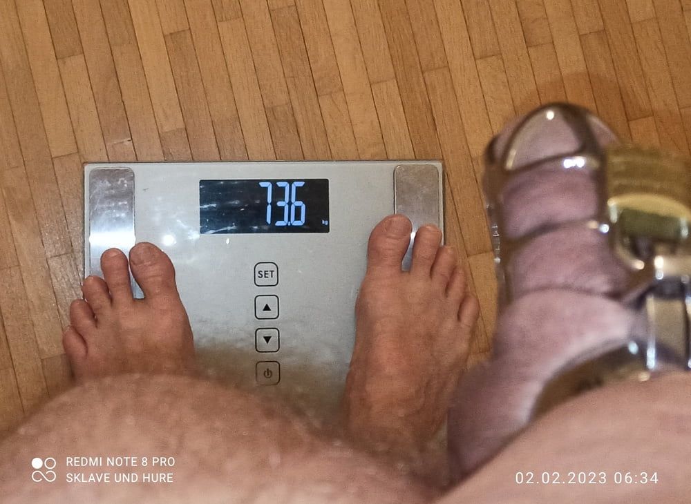 weighing, nippletorture and cagecheck of 02.02.2023 #15