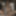 Grandma gets off in the window GIFs #15