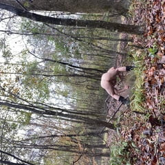 In the woods 