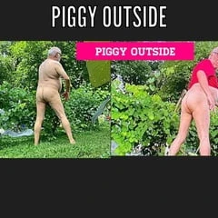 Piggy