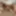 Izzi Ryder and Leilani Leeanne make each other cum