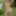 Natural Therapies - Sweet Nurse #3