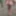 Suzy’s fat titties