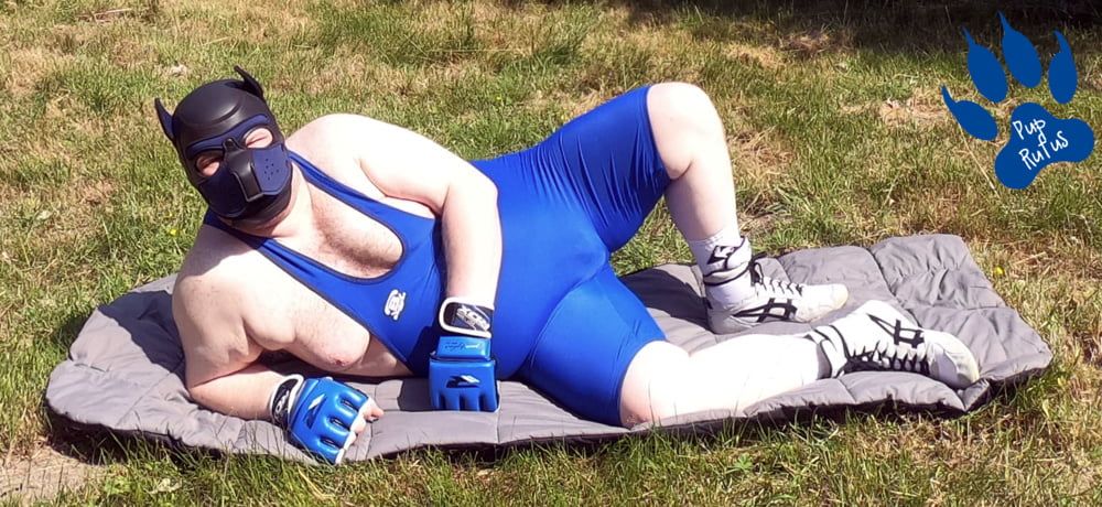 Pup relaxing in wrestling singlet #4