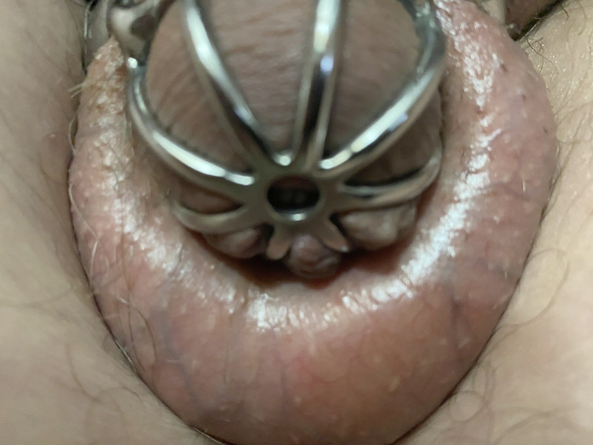 My Little Cock Cage for My Little Cock #4