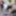 Nerd stepsis wanna play adult games with creampie ending #41