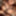 Closeups  #6