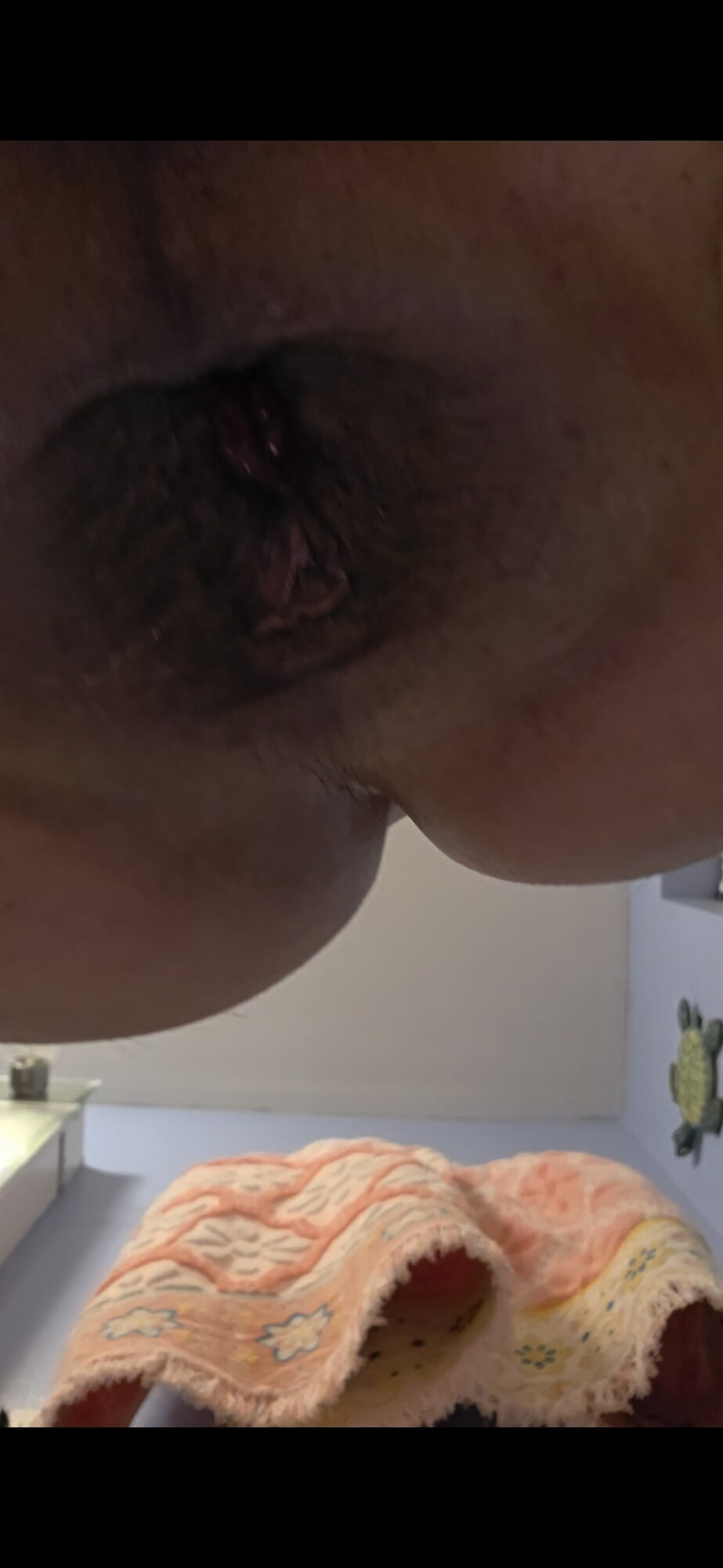 Asspussy Internal View and Gape #11