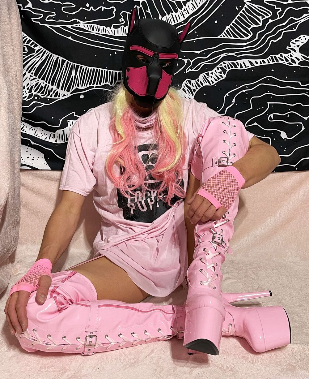 Pink Pussy Cage #4