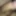 my dick 