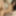 8TeenHub - Kylee King Need Dick