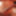 Cock closeup twitching and cumming compilation stills #37
