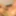NORDICORGY-MORE: https://xhamster.com/users/radicalpictures #4