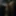 Dark Free Photos