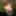Flashing in the woods Stockings and Suspenders #46