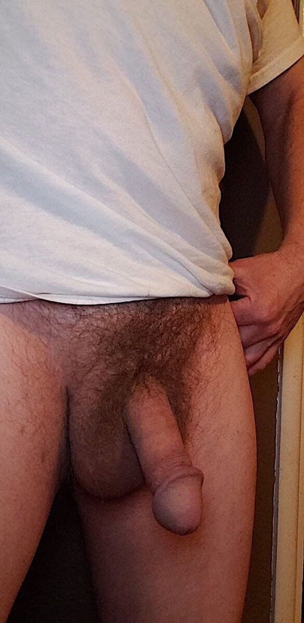 Hairy Circumcised Cock #15