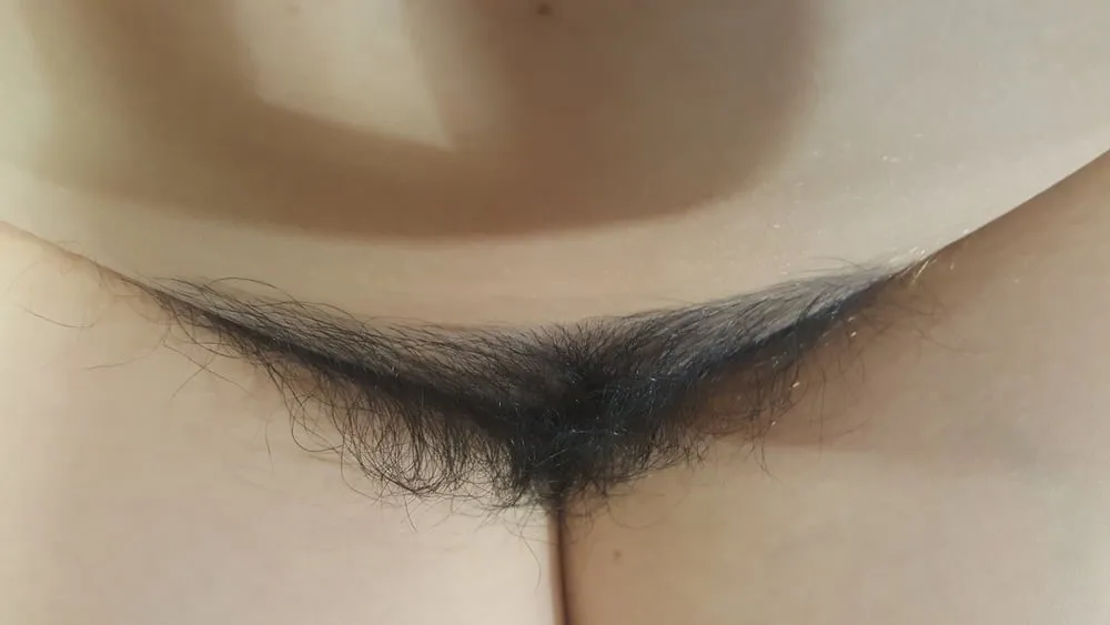 hairy pussy #4