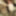 SELF SUCK SELFSUCK AUTOFELLATIO GIFS