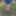 Bare bum in the forest #4