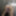 October 15 WEEKLY Video Update to DoggVision VIP Mbrs Area! #5