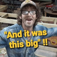 Woody  Free Photos