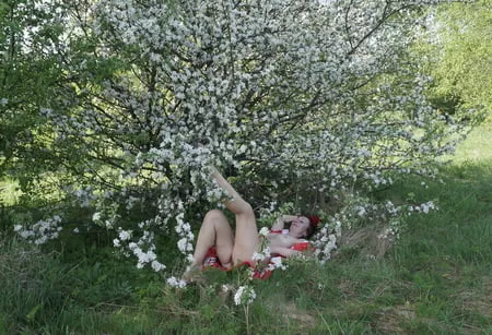 in white flowers         