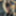 outdoor Riesentitten besamt ( . ) ( . )