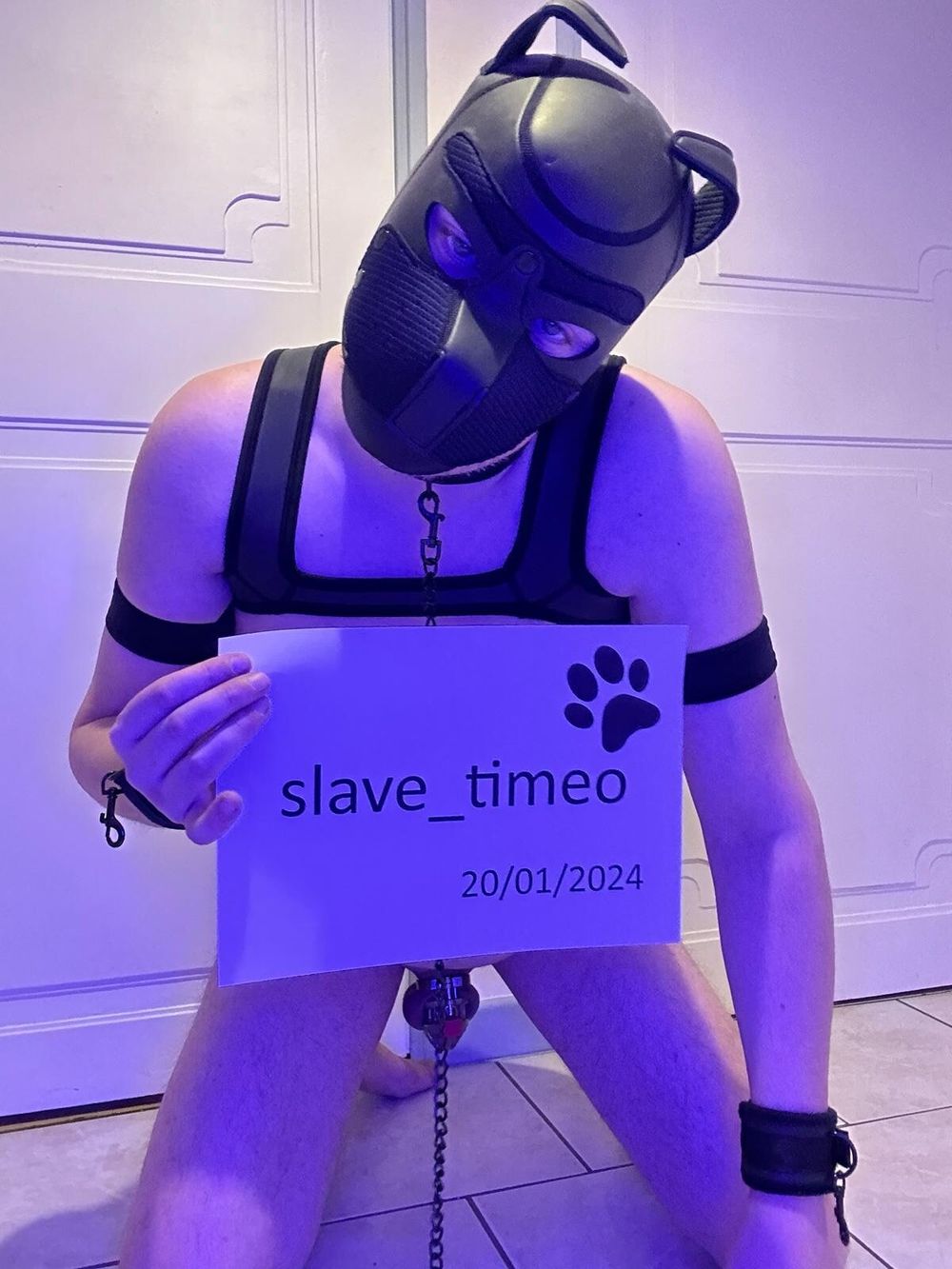 Presentation of slave_timeo (blue shooting) #35