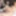 TGIRLS PORN: Dahlia Bloom with Nikki North