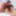 GROOBYGIRLS: The Jade Stone Initiation