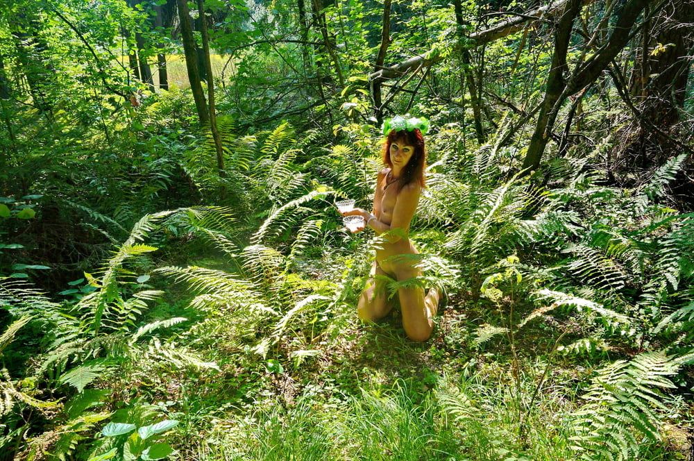 Forest Fairy #25