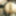 Photo 2016c #13