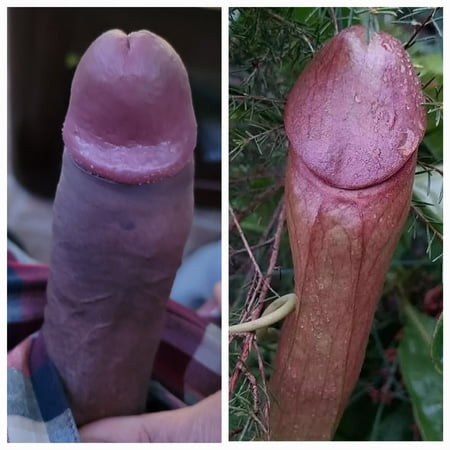 My Private Collection