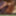 sounding dildo lingerie 13