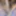 Video cum cock pics
